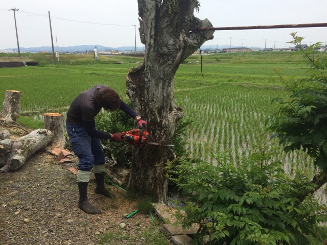 f:id:bounoya:20150523223148j:image f:id:bounoya:20150523223148j:image