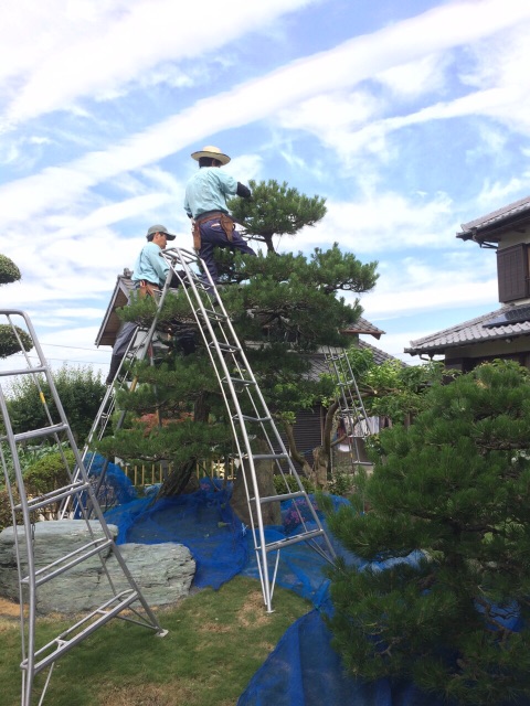 f:id:bounoya:20150604225135j:image f:id:bounoya:20150604225135j:image