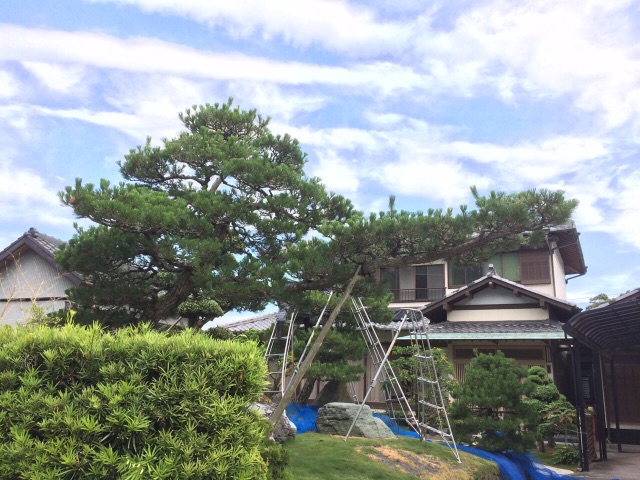 f:id:bounoya:20150604225154j:image f:id:bounoya:20150604225154j:image
