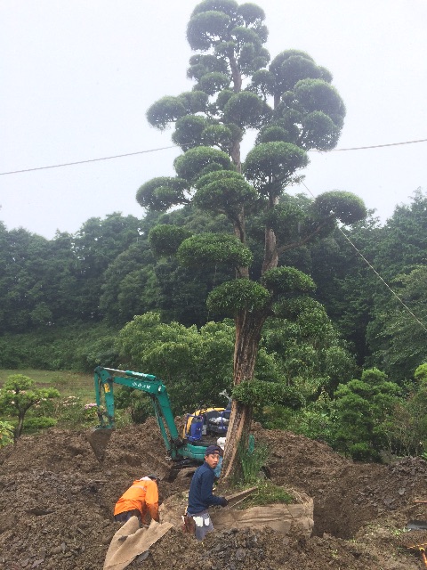 f:id:bounoya:20150707222450j:image f:id:bounoya:20150707222450j:image