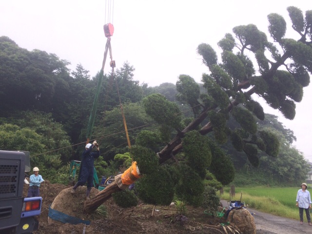 f:id:bounoya:20150707222523j:image f:id:bounoya:20150707222523j:image