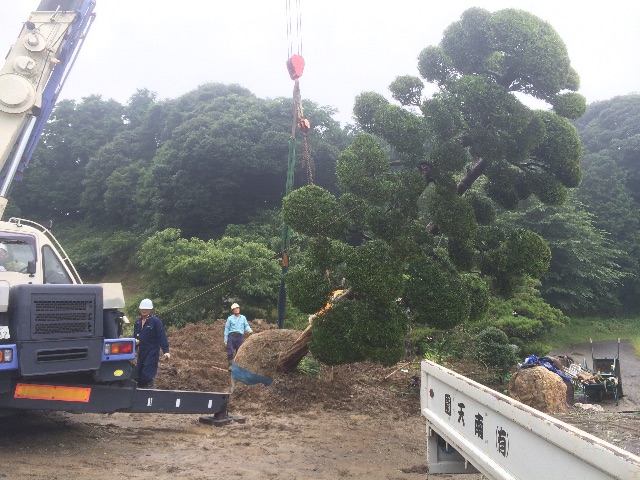 f:id:bounoya:20150707222548j:image f:id:bounoya:20150707222548j:image