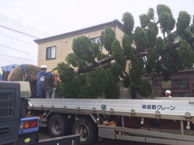 f:id:bounoya:20150707222629j:image f:id:bounoya:20150707222629j:image
