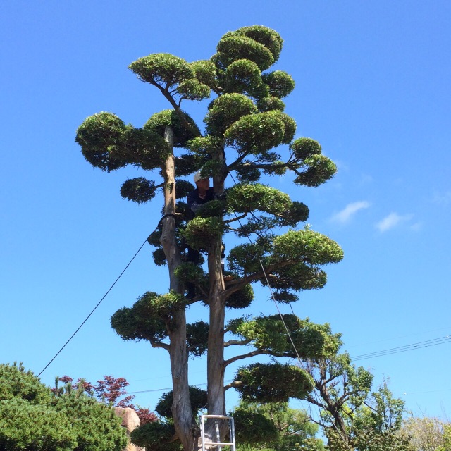 f:id:bounoya:20150714224847j:image f:id:bounoya:20150714224847j:image