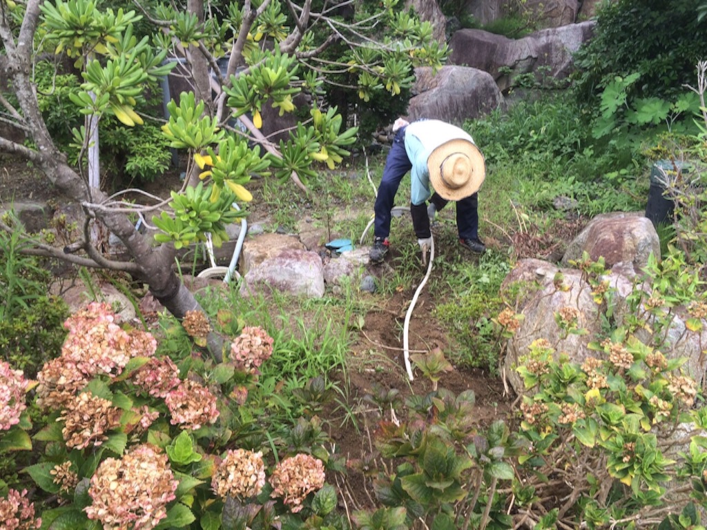 f:id:bounoya:20150723212457j:image f:id:bounoya:20150723212457j:image