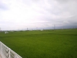 f:id:boutyou-works:20090801115629j:image f:id:boutyou-works:20090801115629j:image