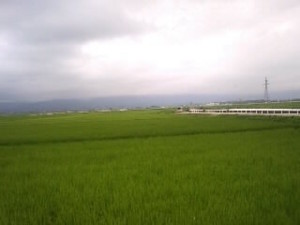 f:id:boutyou-works:20090801115642j:image f:id:boutyou-works:20090801115642j:image