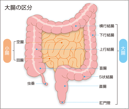 f:id:brain-owner:20160502225053j:plain f:id:brain-owner:20160502225053j:plain