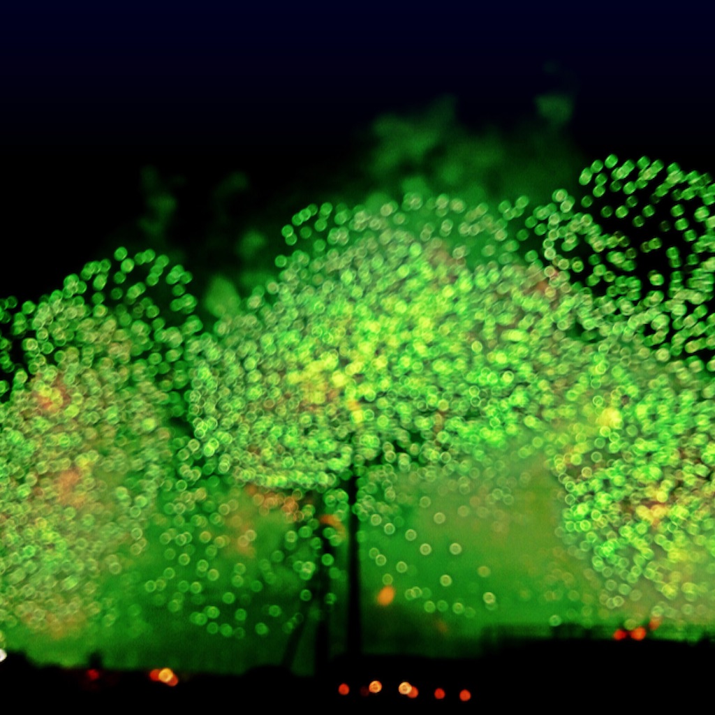 f:id:brain_error:20150725224615j:image f:id:brain_error:20150725224615j:image