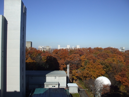 f:id:brainhack:20071214101836j:image f:id:brainhack:20071214101836j:image
