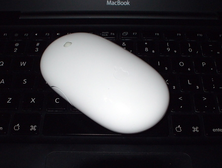 f:id:brainhack:20071221081059j:image f:id:brainhack:20071221081059j:image