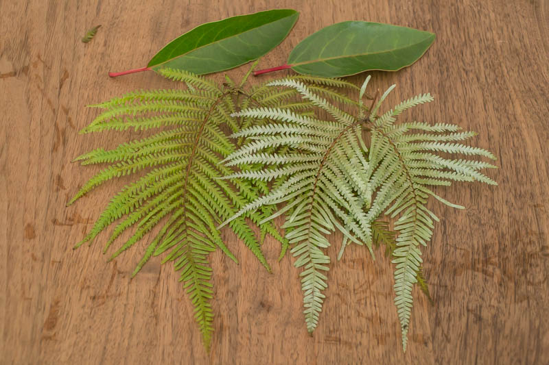 f:id:buchineko_okawari:20151230014736j:plain