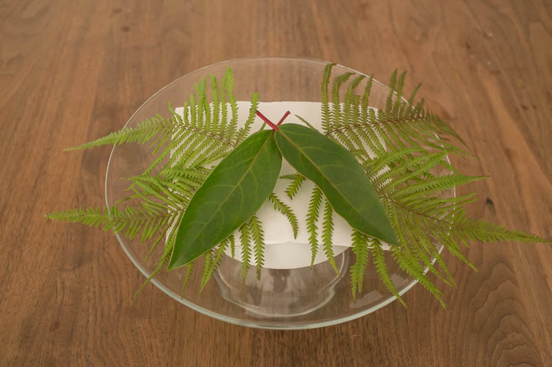 f:id:buchineko_okawari:20151230020335j:plain