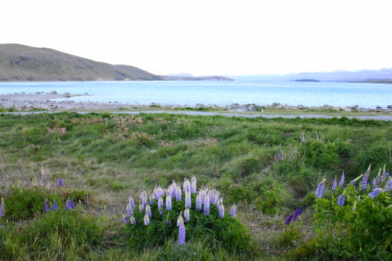 f:id:bucketlist:20141126124813j:plain