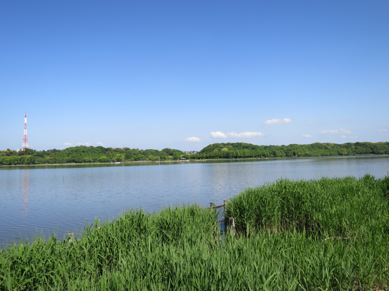 佐鳴湖ウォーキング Such Is Life