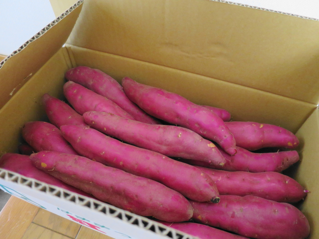 f:id:bucketlist:20150801123455j:plain