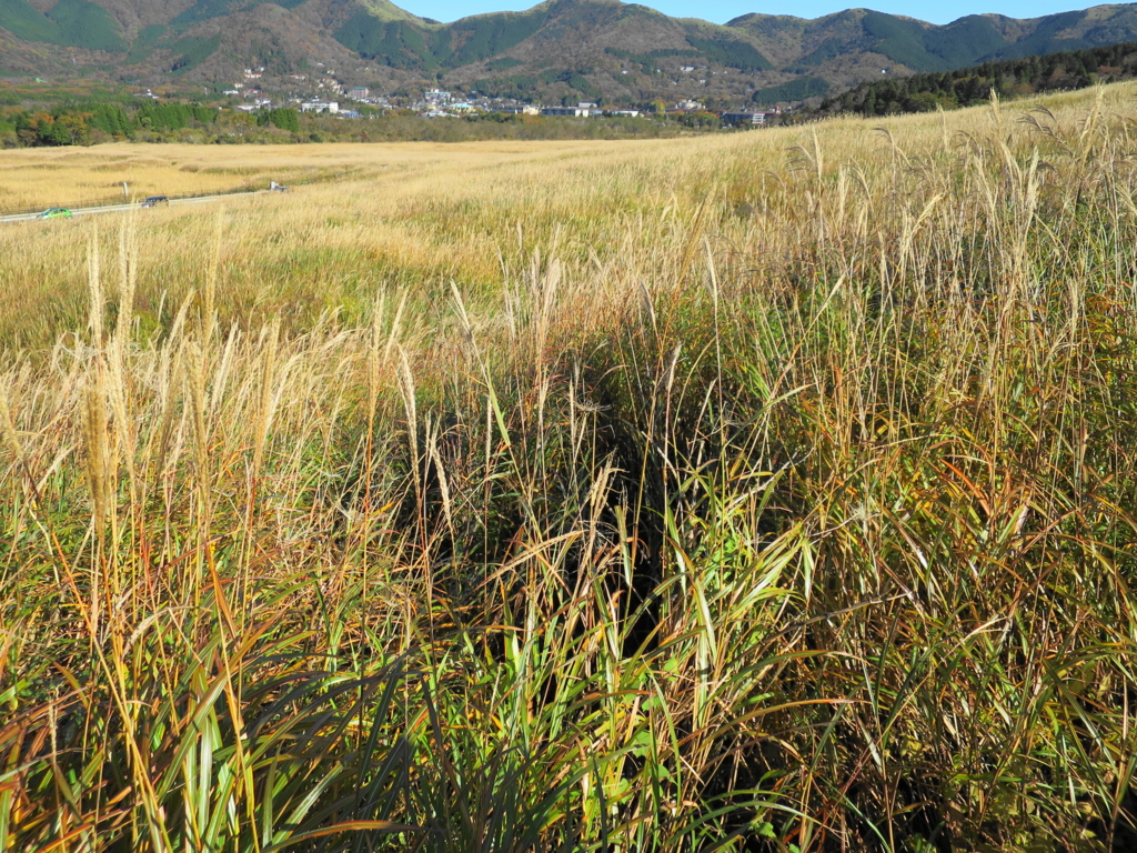 f:id:bucketlist:20151107101808j:plain