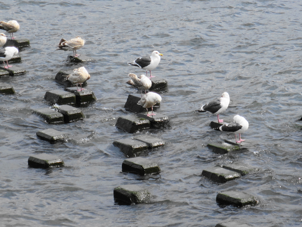 f:id:bucketlist:20160321104740j:plain