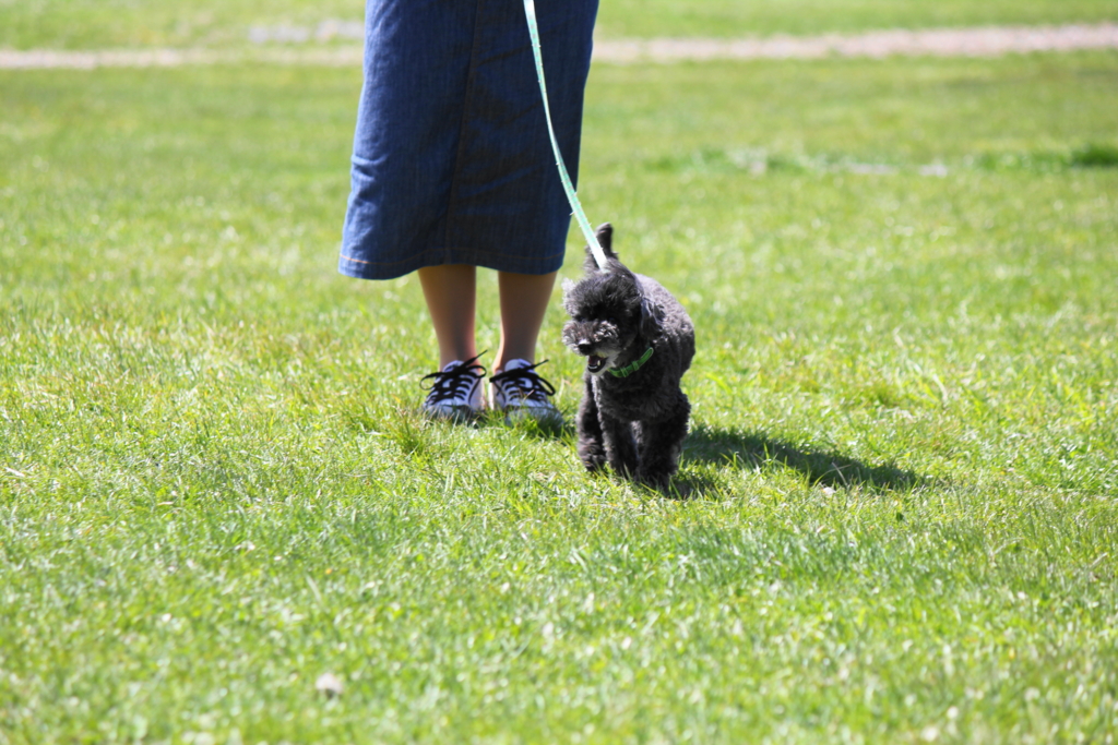 f:id:bucketlist:20160506083101j:plain