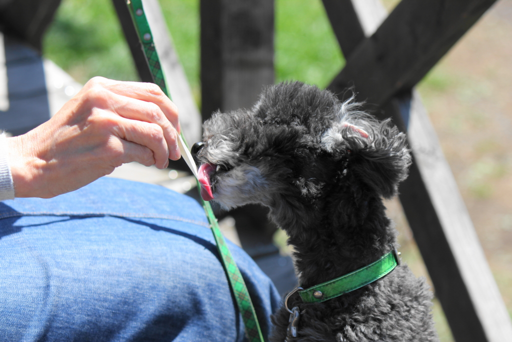 f:id:bucketlist:20160506083540j:plain