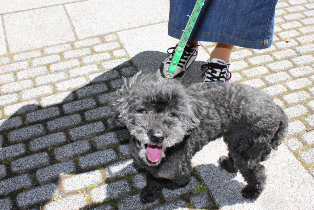 f:id:bucketlist:20160506083702j:plain