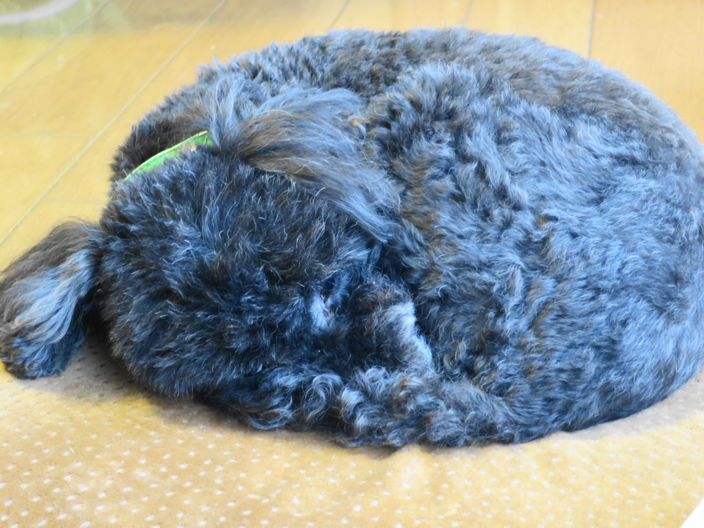 f:id:bucketlist:20160506083740j:plain