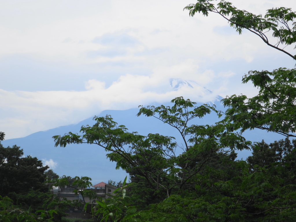 f:id:bucketlist:20160607070326j:plain