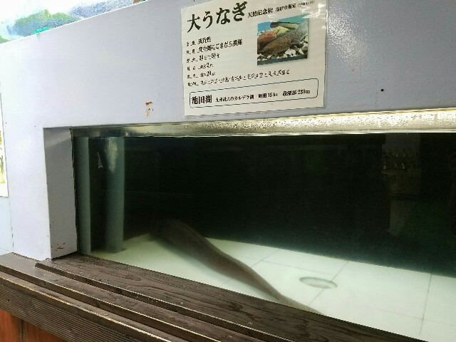 f:id:bukuri:20160711204919j:image f:id:bukuri:20160711204919j:image