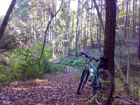 f:id:bumpy_ride:20071119121534j:image f:id:bumpy_ride:20071119121534j:image