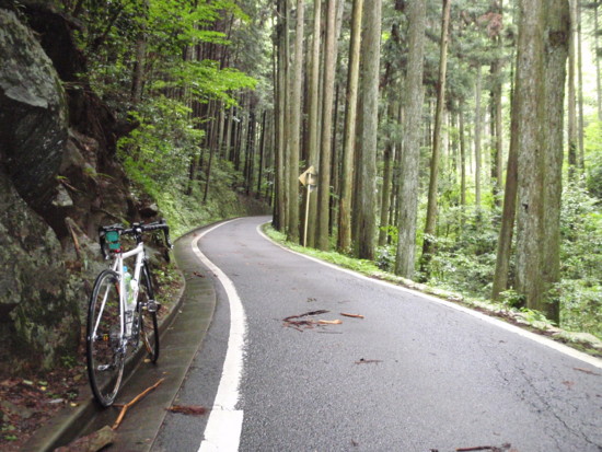 f:id:bumpy_ride:20090720100035j:image f:id:bumpy_ride:20090720100035j:image