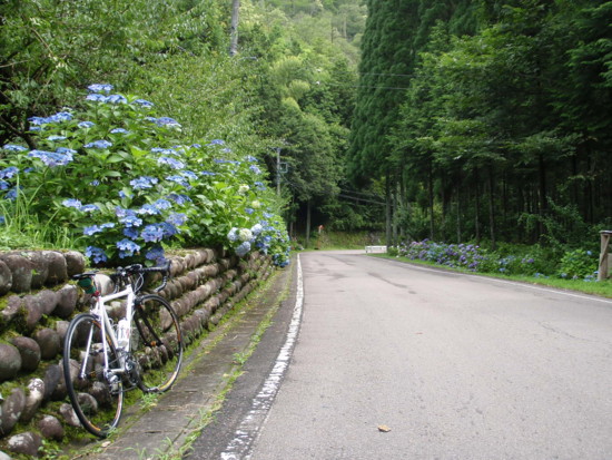 f:id:bumpy_ride:20090720101546j:image f:id:bumpy_ride:20090720101546j:image