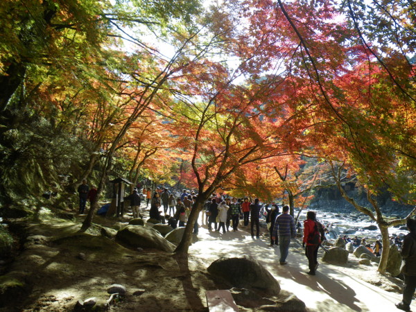 f:id:bumpy_ride:20111126130717j:image f:id:bumpy_ride:20111126130717j:image
