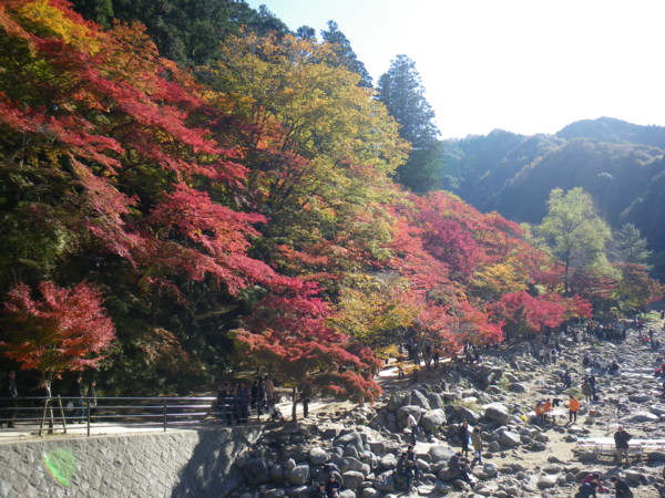 f:id:bumpy_ride:20111126131418j:image f:id:bumpy_ride:20111126131418j:image