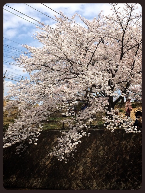 f:id:burkinanikki:20140404144754j:plain f:id:burkinanikki:20140404144754j:plain