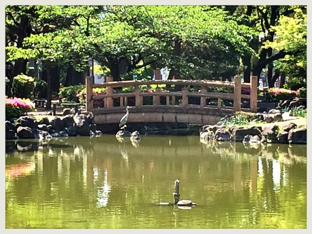 f:id:burkinanikki:20140507104800j:plain f:id:burkinanikki:20140507104800j:plain