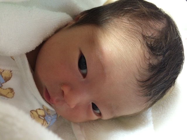 f:id:burkinanikki:20140624201515j:plain f:id:burkinanikki:20140624201515j:plain