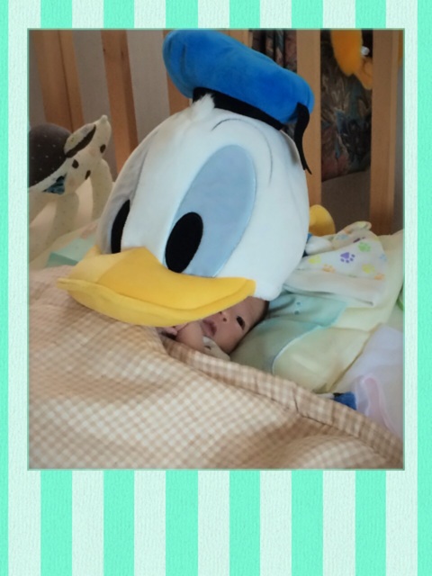 f:id:burkinanikki:20140625155631j:plain f:id:burkinanikki:20140625155631j:plain