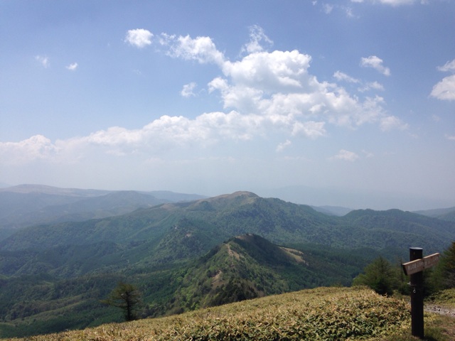 f:id:butadorobo:20140602230642j:plain f:id:butadorobo:20140602230642j:plain