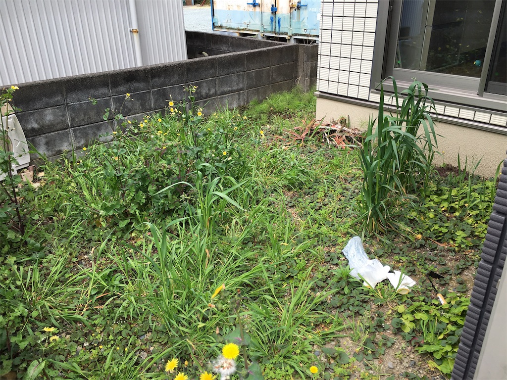 f:id:buwako:20160402122651j:image f:id:buwako:20160402122651j:image