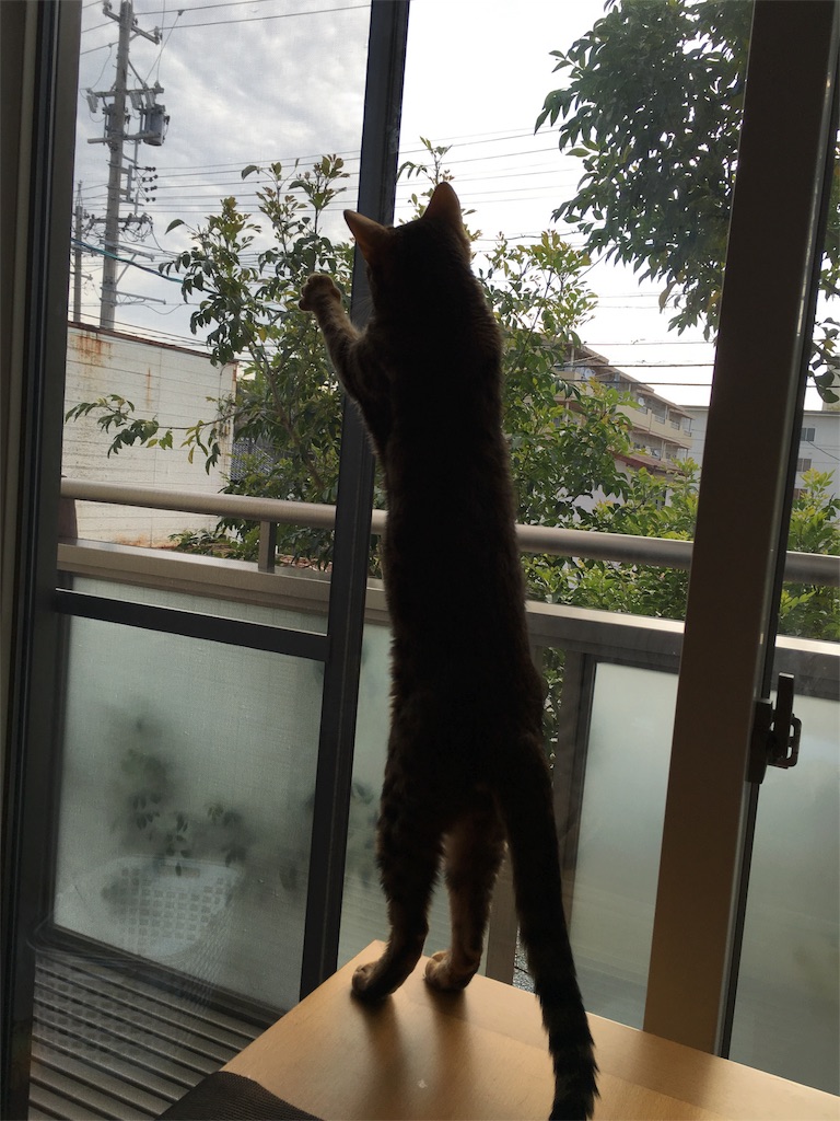 f:id:buwako:20160418075645j:image f:id:buwako:20160418075645j:image