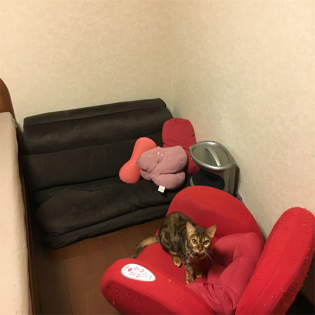 f:id:buwako:20160505083511j:image f:id:buwako:20160505083511j:image