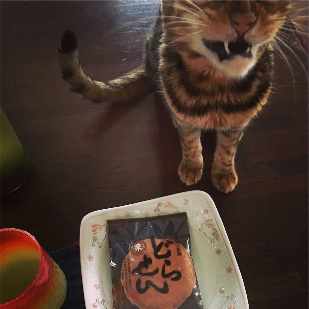 f:id:buwako:20160526083823j:image f:id:buwako:20160526083823j:image