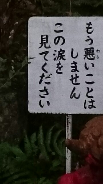 f:id:bwe344:20160624185836j:image f:id:bwe344:20160624185836j:image