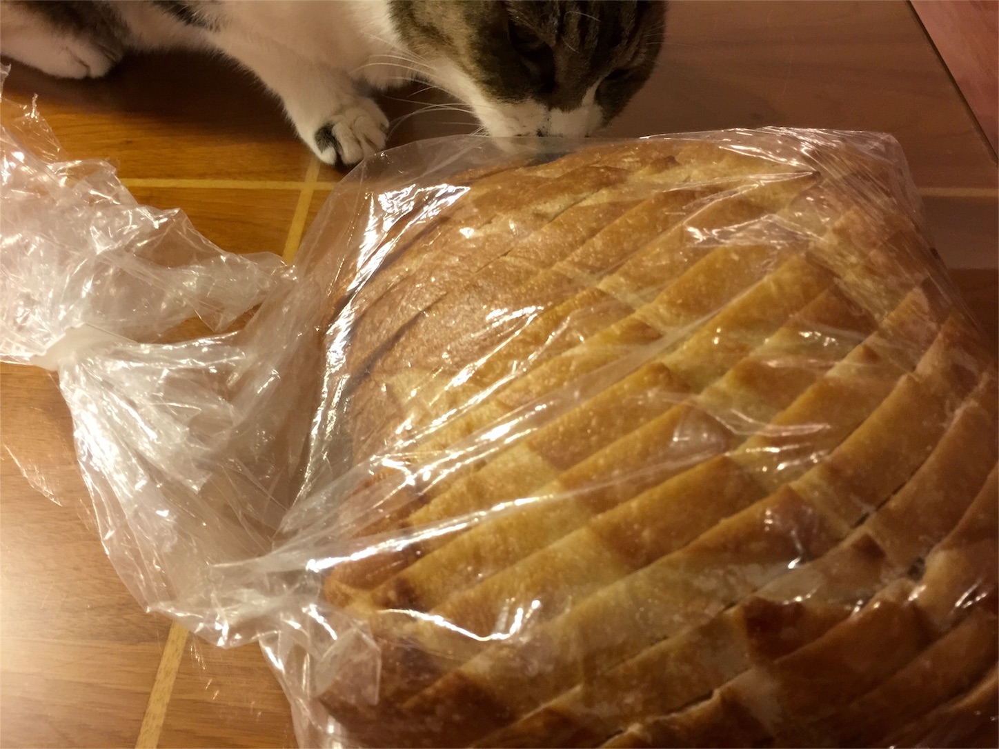 f:id:byronko:20160112234643j:image