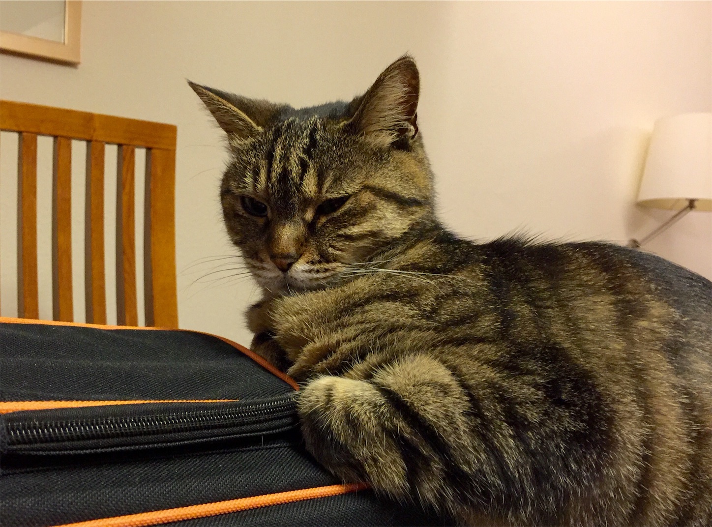 f:id:byronko:20160428012917j:image