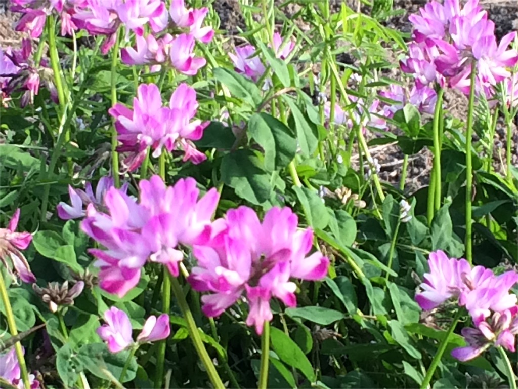 f:id:bzki178504:20160405184612j:image