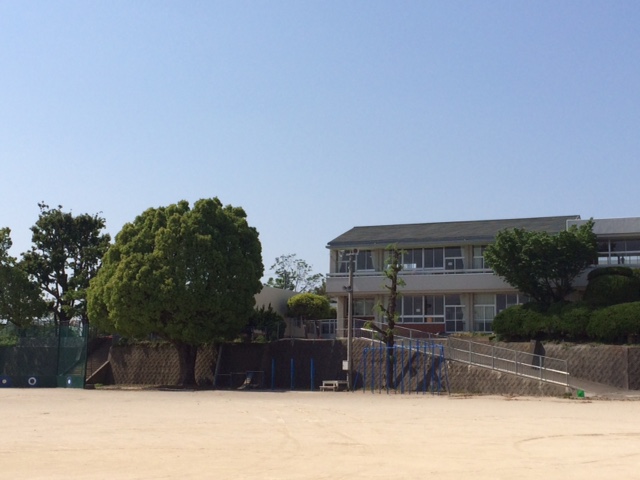 f:id:bzki178504:20160501213449j:plain