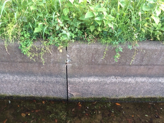 f:id:bzki178504:20160502230850j:plain