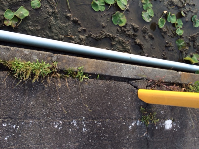 f:id:bzki178504:20160502231100j:plain