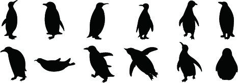 f:id:c-mitsuba:20120123030856j:image f:id:c-mitsuba:20120123030856j:image